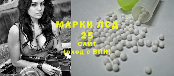 ГАЛЛЮЦИНОГЕННЫЕ ГРИБЫ Арсеньев