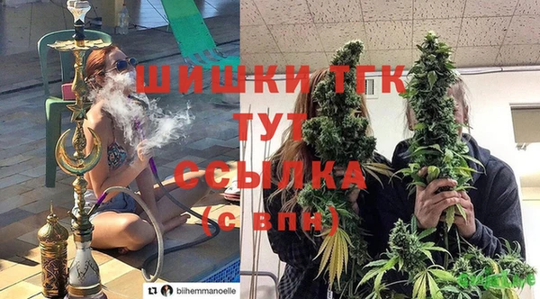 дмт Аркадак
